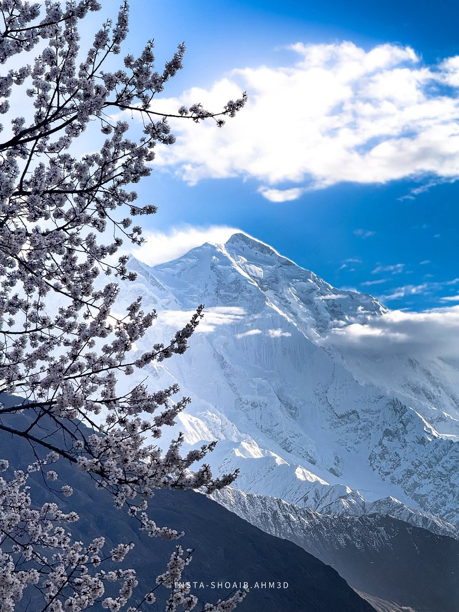 The_North_Blood's tweet image. Spring Has Arrived in Hunza &amp;amp; Gilgit-Baltistan 🌸
Spring has arrived, bringing new life and fresh colors to our beautiful land. It is also the perfect time to plant more trees and protect our environment. 

#Hunza #Spring2026plantation #TheIsmaili @TheIsmaili @icimod