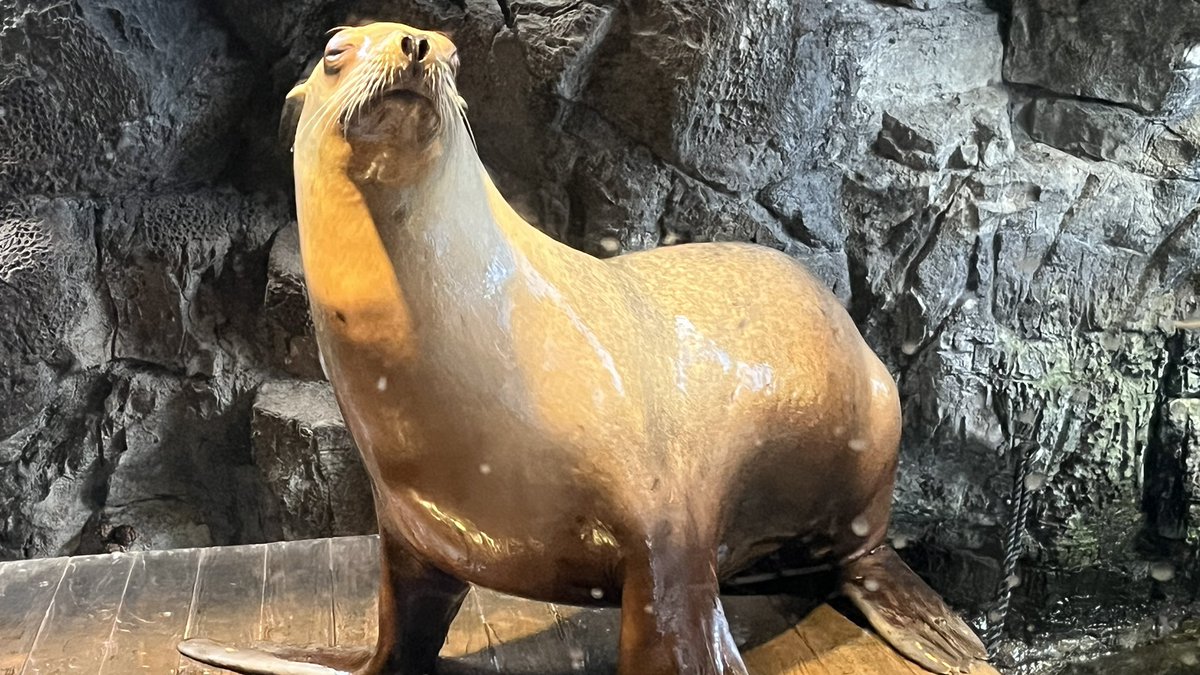 らいバチ🐝 tweet media