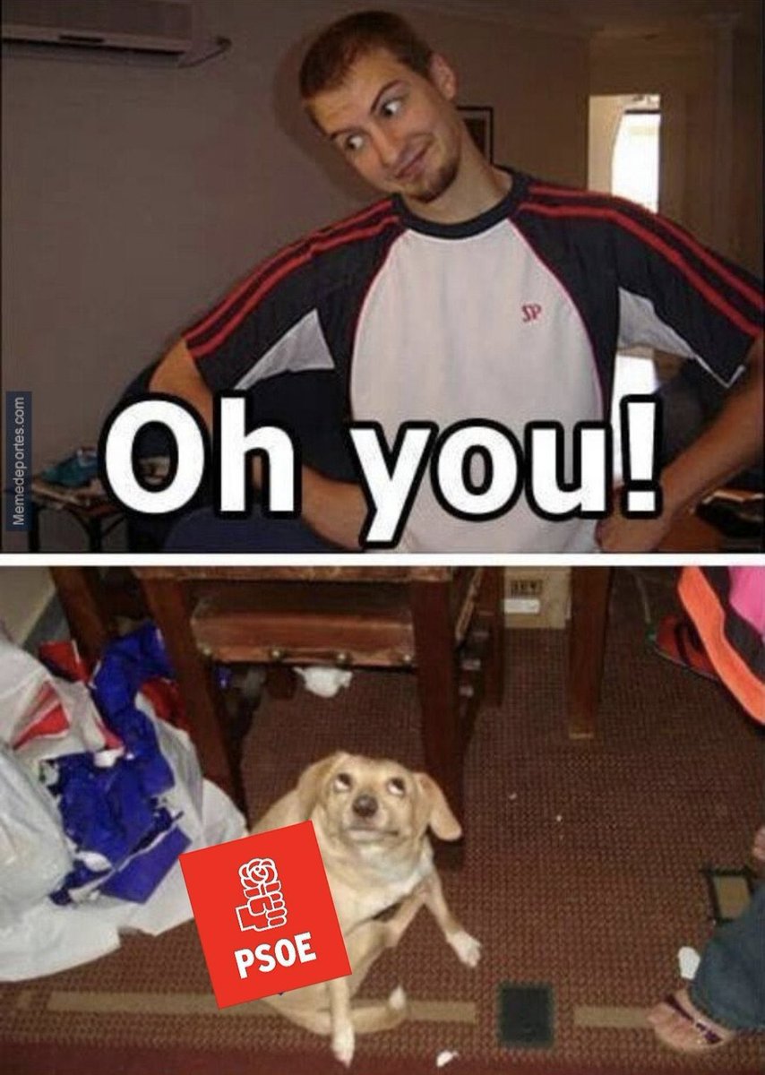 Tamiroff (@tamiroff_) on Twitter photo 