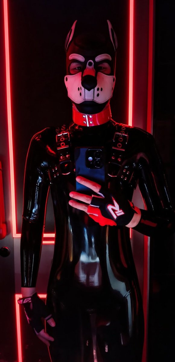 Ming Puppy BKK 🐾 tweet media