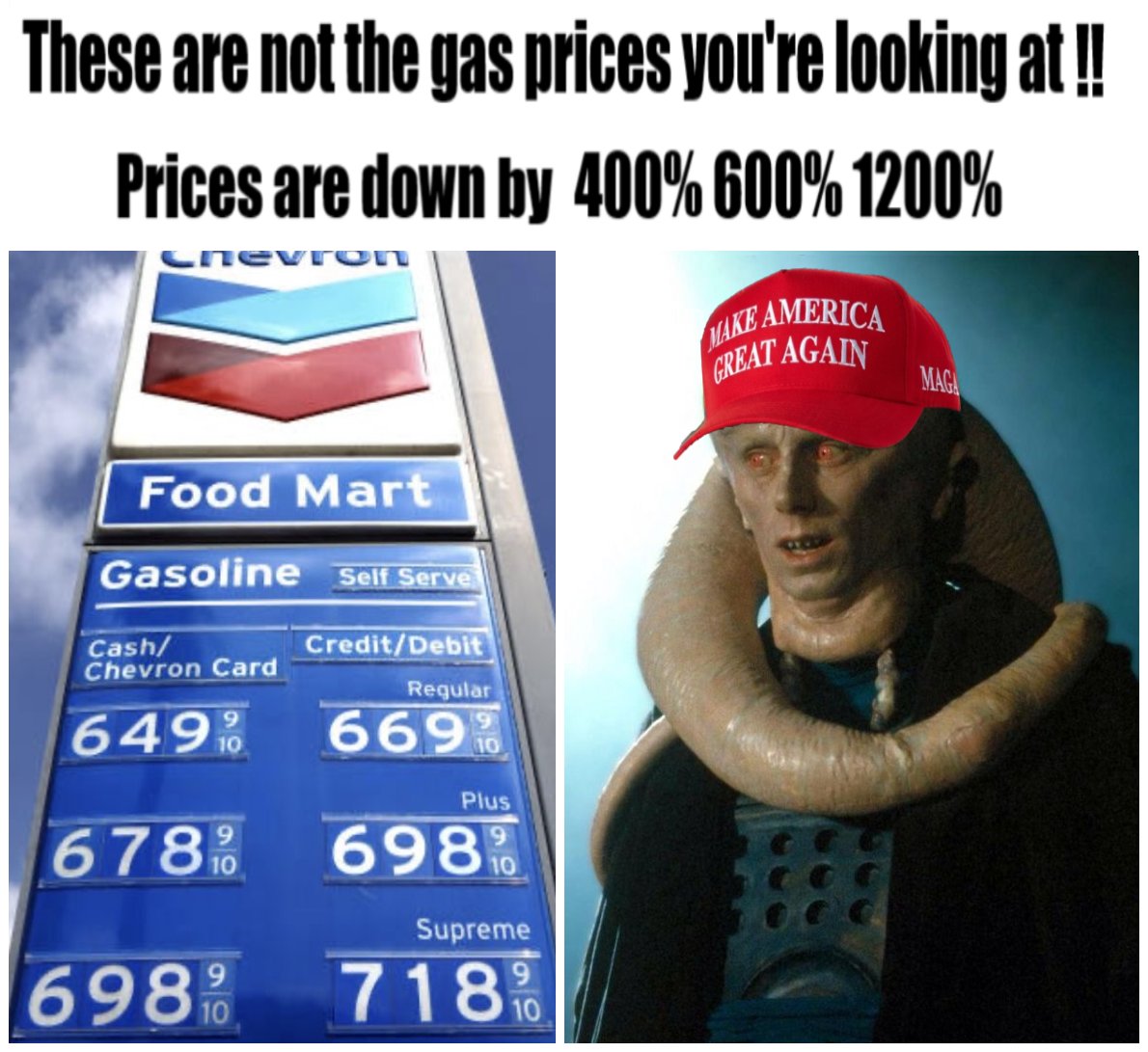 Stefan Maurer🥶 tweet media