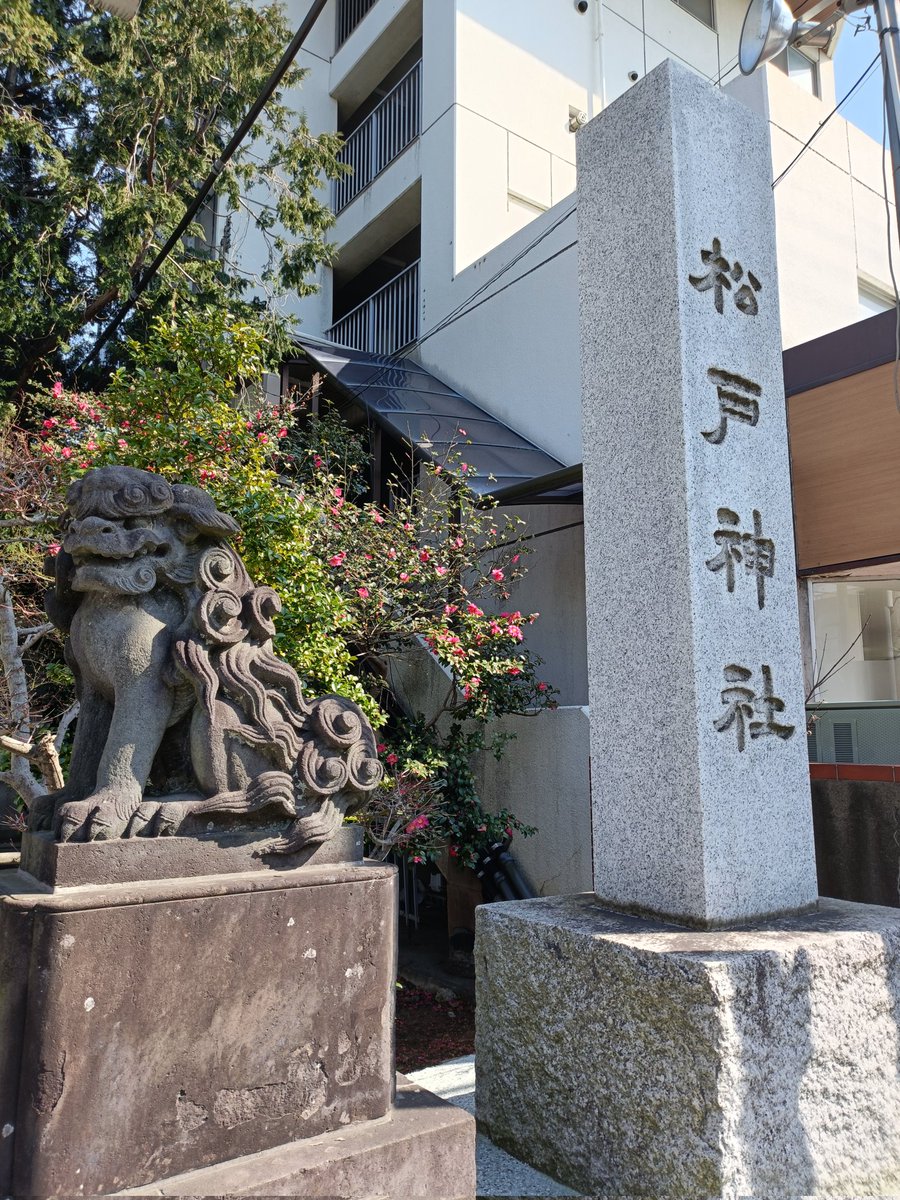 kirin3fc2's tweet photo. 松戸神社
御朱印を拝受しました。直書きは平日のみのようです。
桜ですかね。とてもきれいでした。 https://t.co/586dfWCDe8