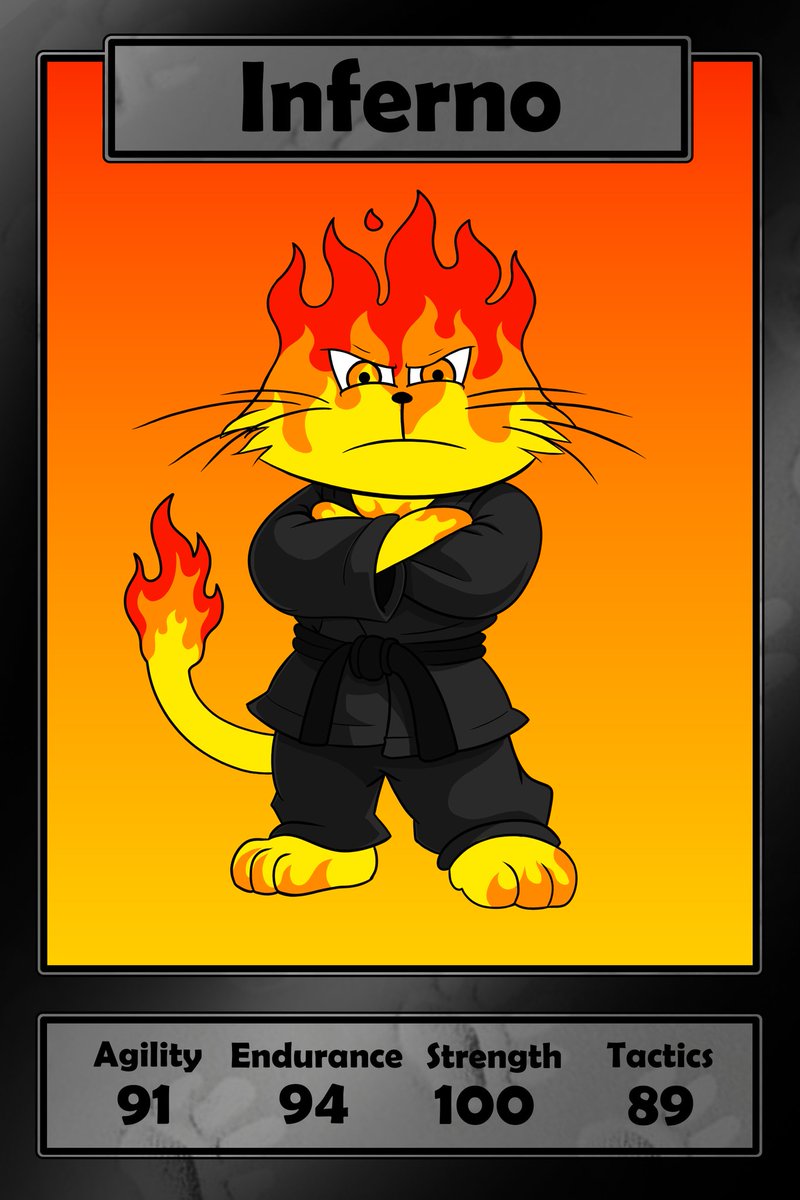 Karate Kitties tweet media