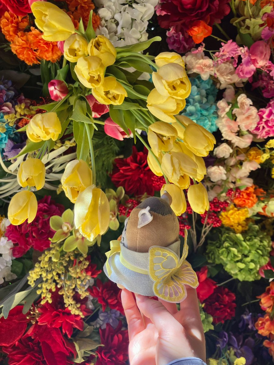 da4jil01c's tweet photo. カムの映画みた！すごかった～
これは花の蜜を吸うホゼオチョウ https://t.co/2VigjWubQQ