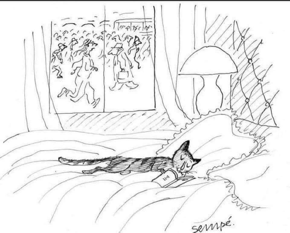 Wild at Heart tweet media