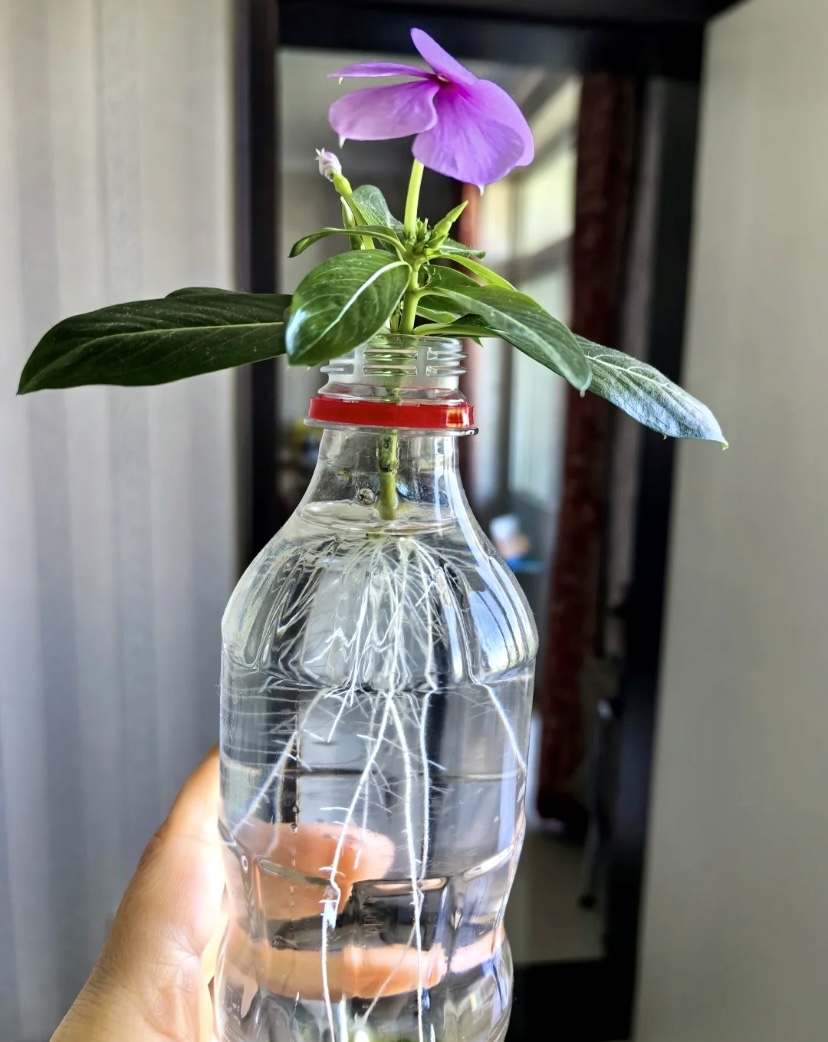 kishalo@hotmail.com tweet media