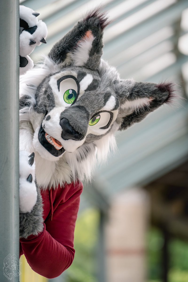 DireCreatures tweet media