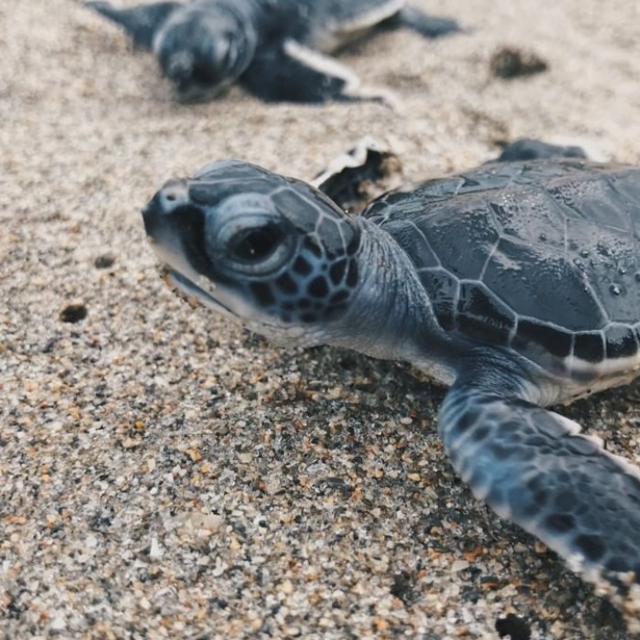 Palm Beach Film & TV tweet media