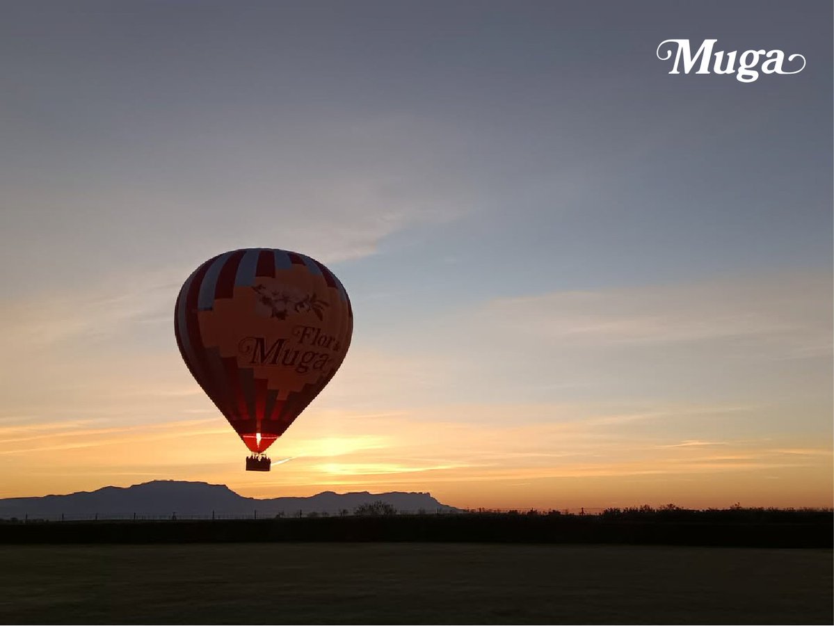 Bodegas Muga tweet media