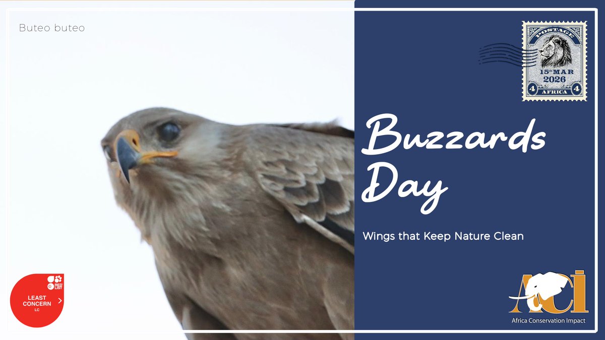 Africa Conservation Impact tweet media