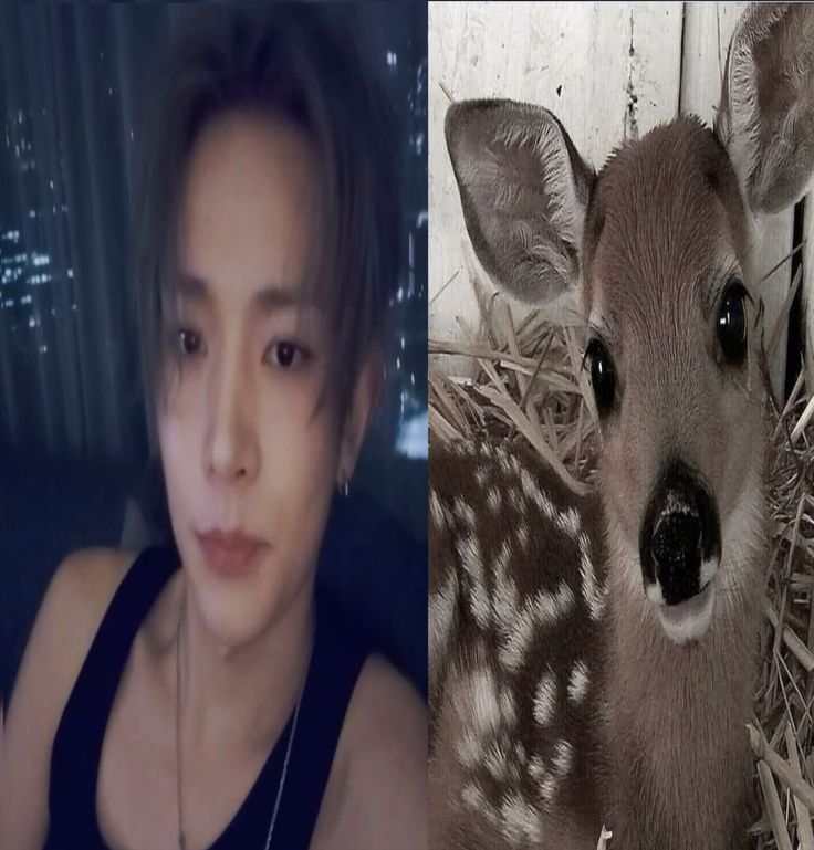 Jayparkelotitob's tweet photo. ¡Encontraste a heeseung bambi! estas obligado a dejar tu tag 

DO NOT EXPLOIT THE LEGACY OF ENHYPEN
#BEACCOUNTABLE_BELIFT
#ENHYPEN_IS_SEVEN 
#HEESEUNG_STAY https://t.co/LeSsiQxP0N