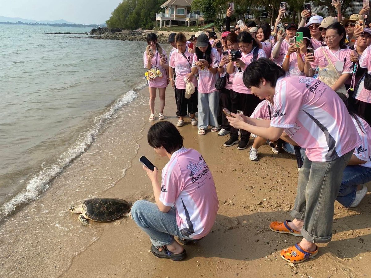 Ban_Bbasroom's tweet photo. แมะจ๋า ฝากกดไลท์ กดแชร์จ้า 🙏🤝 https://t.co/4V6Hfivqc7

#บาสเด็กอ้วนที่แท้จริง
#พี่บาสอาสาเติมความสุขให้น้องสี่ขา https://t.co/ZVQHMh2T3q