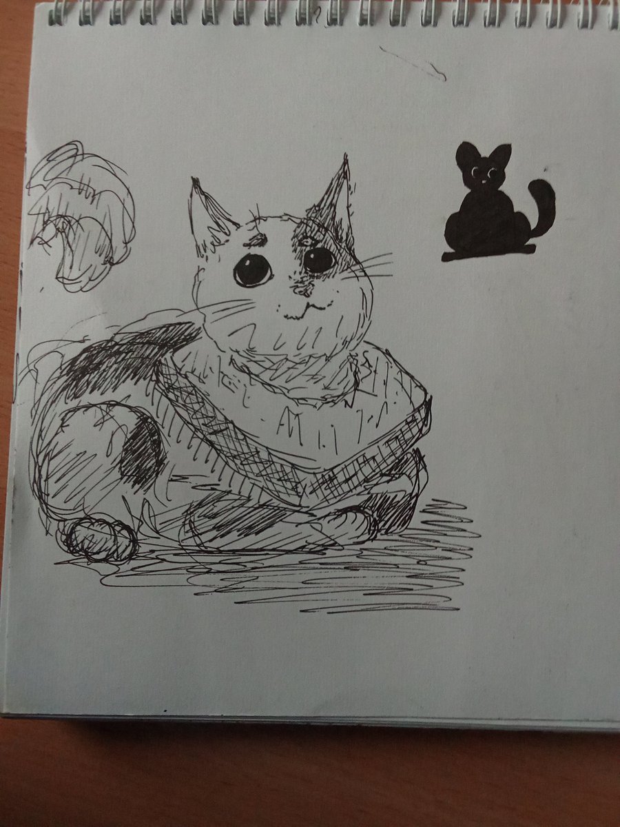 Esher_2004's tweet photo. Some pen-drawnings (I know that letters in mem I reproduced in russian, and I don't translate tham. Oh, I'm so bad boy, hehehe).
#smallartisr #sketches #badartist https://t.co/tcVmCzZ0s8
