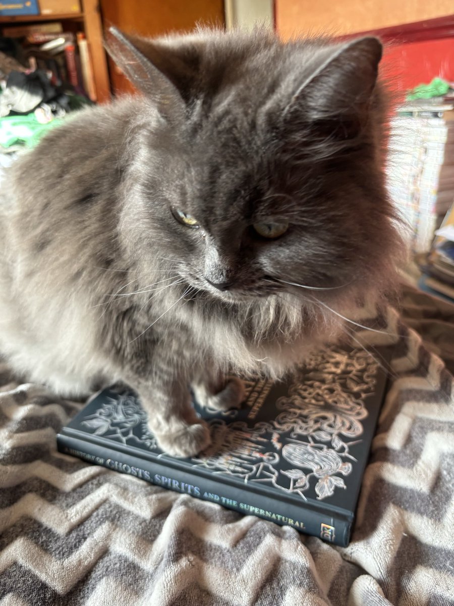 Happy Mothers Day to those who still celebrate it. And to those who don’t (like myself - no kids, no MIL or Mum), this one below is the only one I look after.