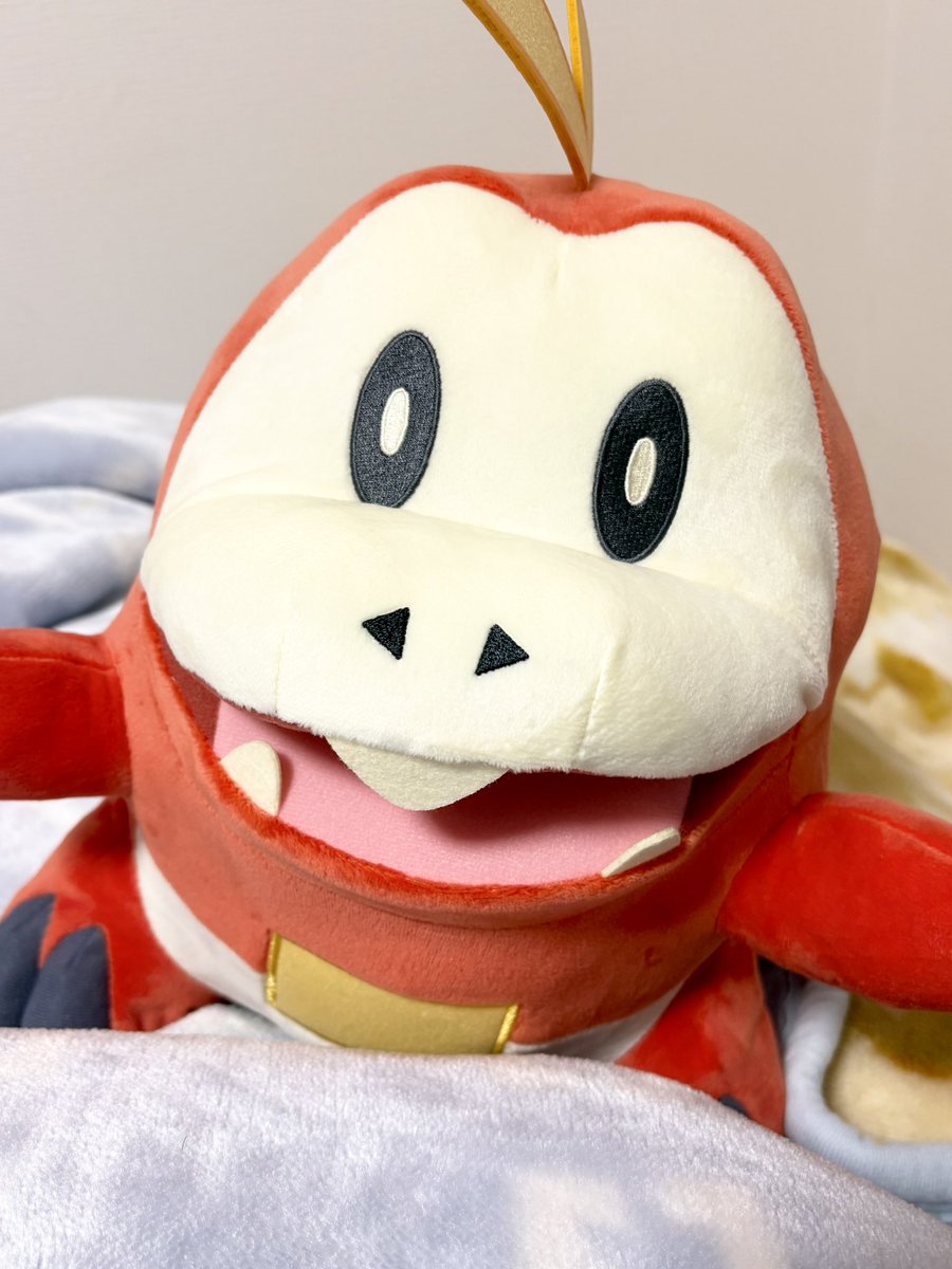 塩野たまご🍳 tweet media