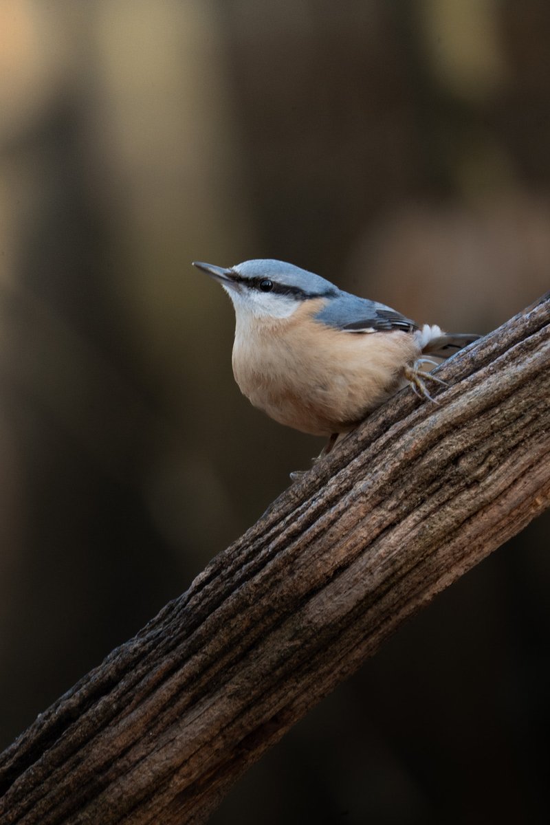 Hugo  tweet media