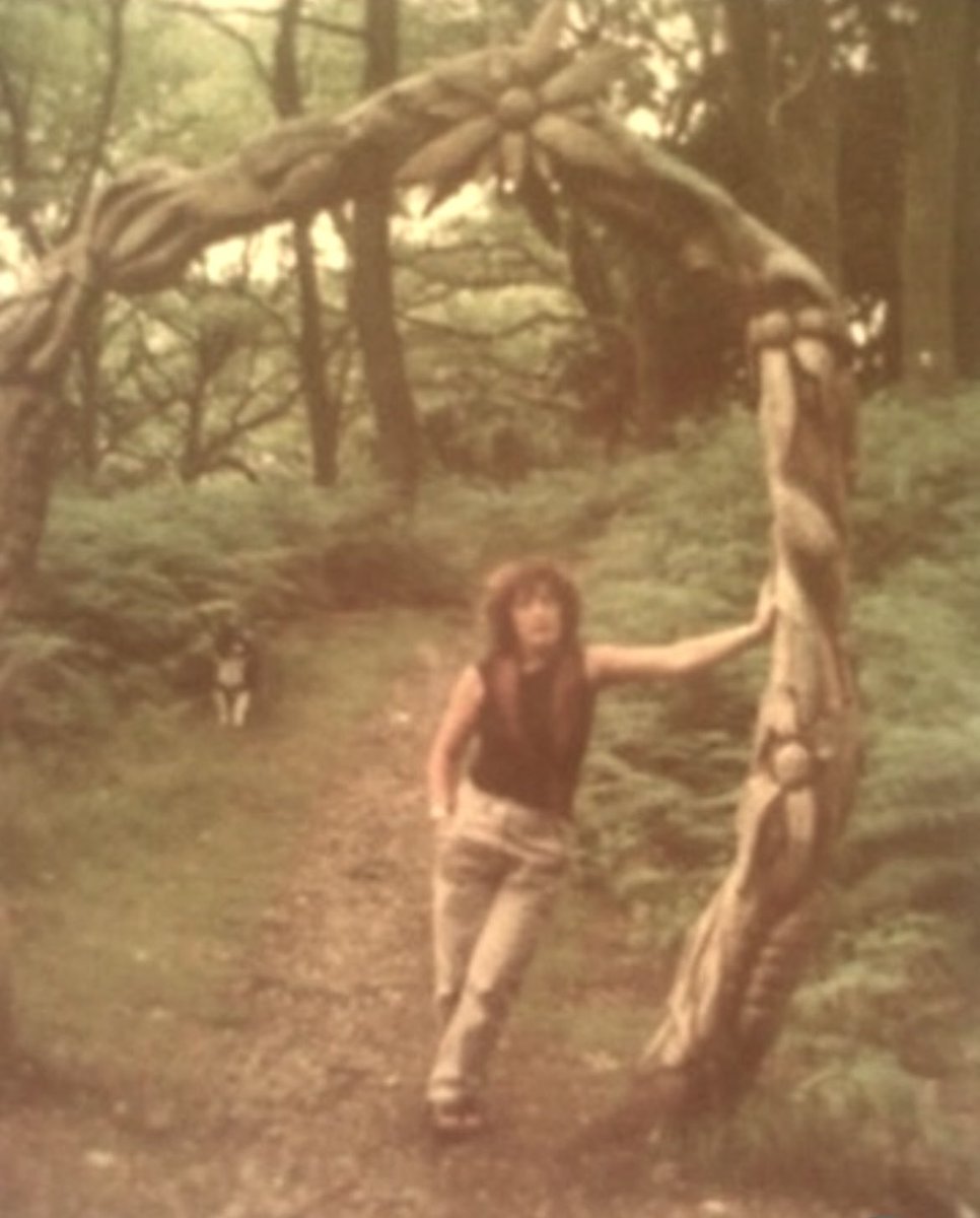 Jacqui Deevoy tweet media