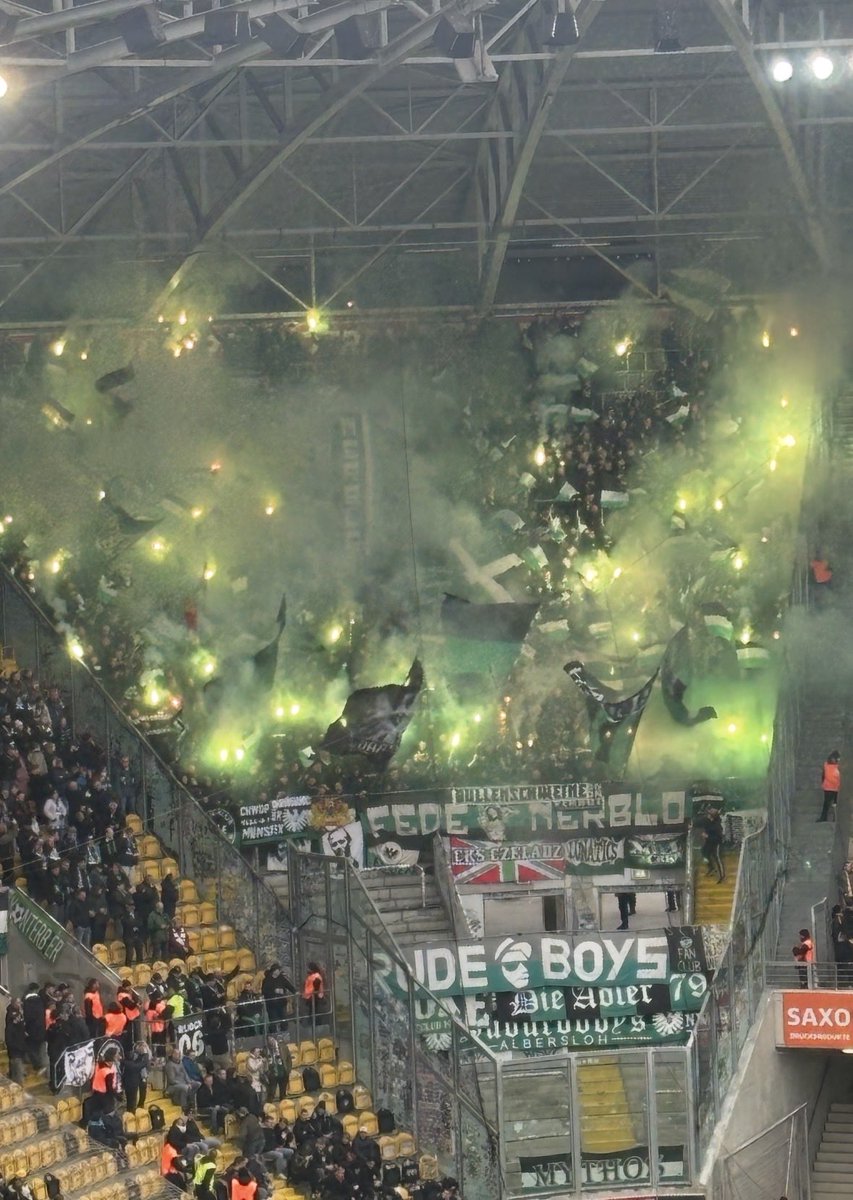 BILD Preußen Münster tweet media