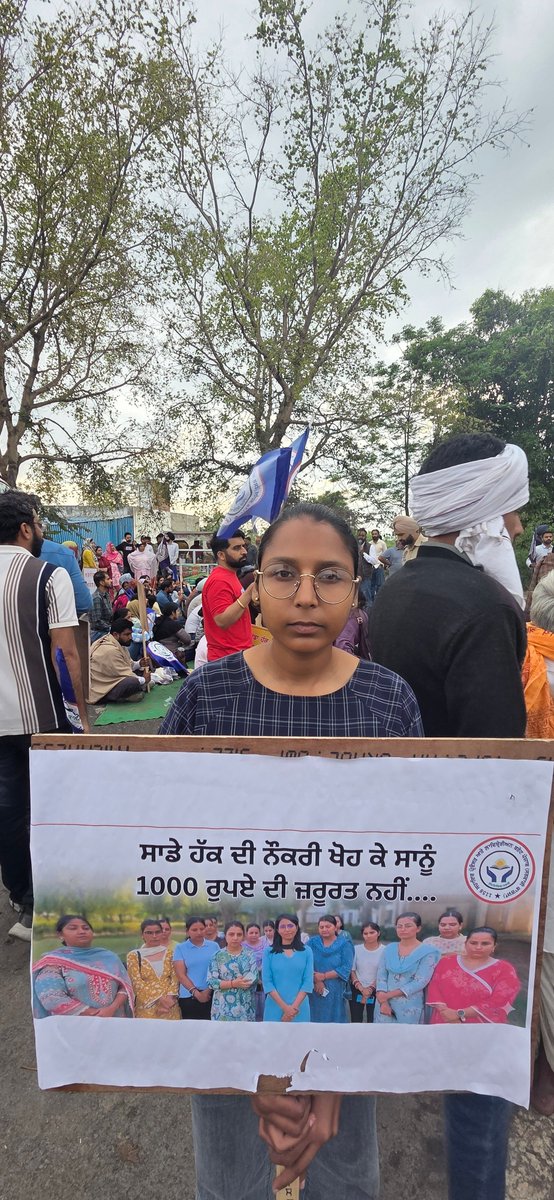 1158AssistantProfessorAndLibrarianFront:Punjab tweet media