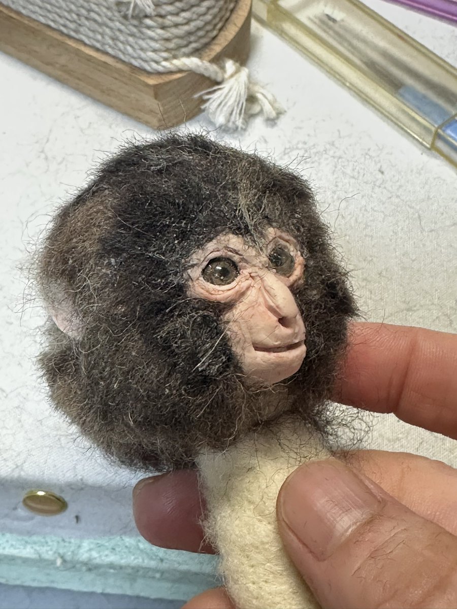 日本猿の子どもを作ってます まーぶっちゃけモデルはパンチくんです