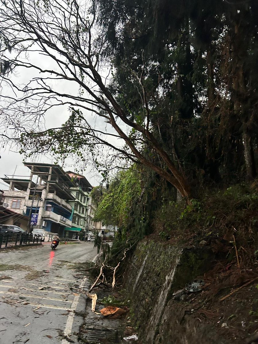 Sikkim | Three people were injured after a tree fell on a passenger ...