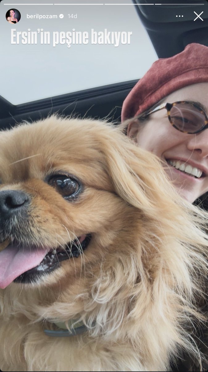 gözleriyle babasının yolunu gözleyen Kerem 🐶
#ErsinArıcı #BerilPozam
#ErsBer