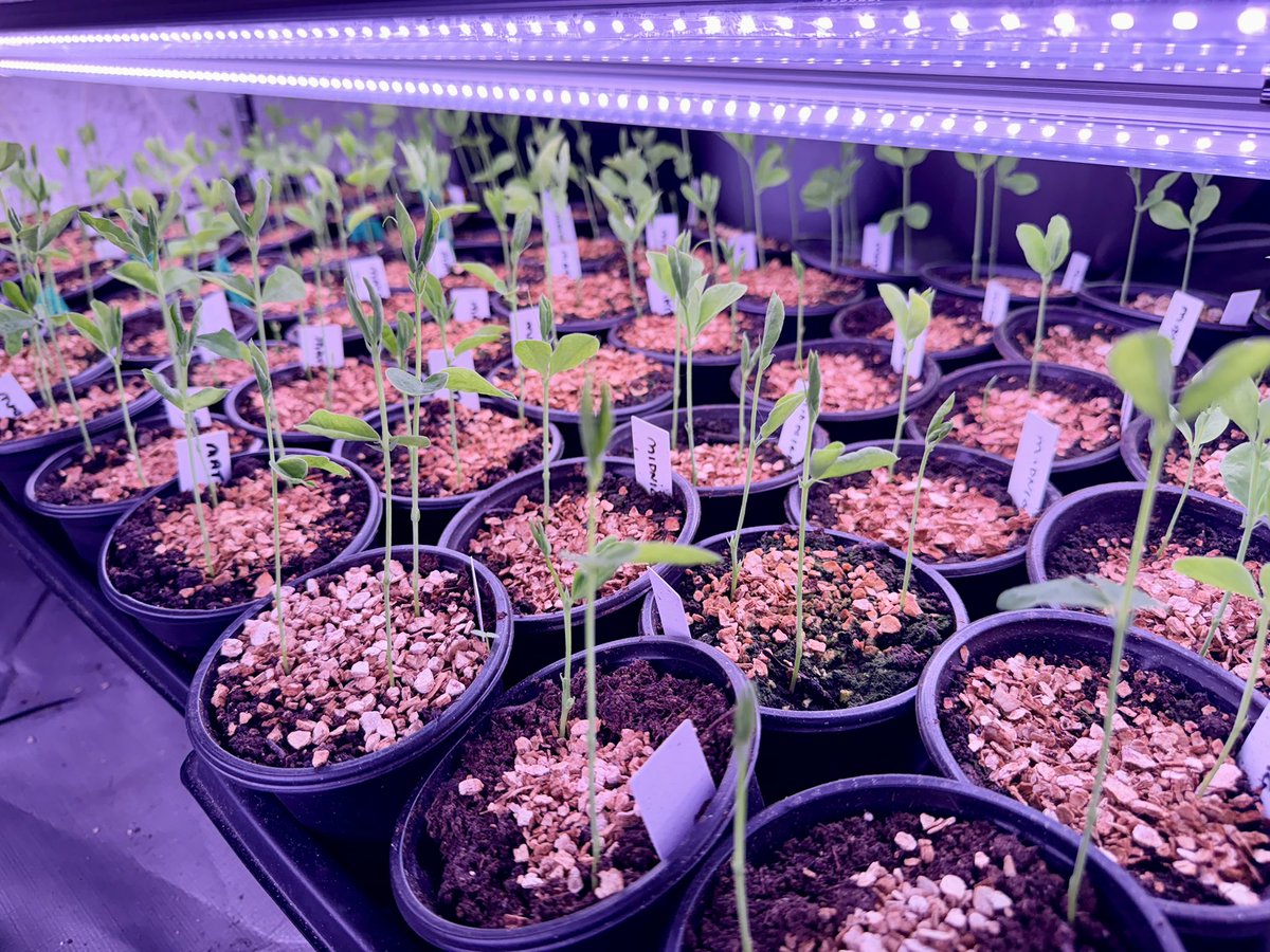 Steve Jenkins tweet media