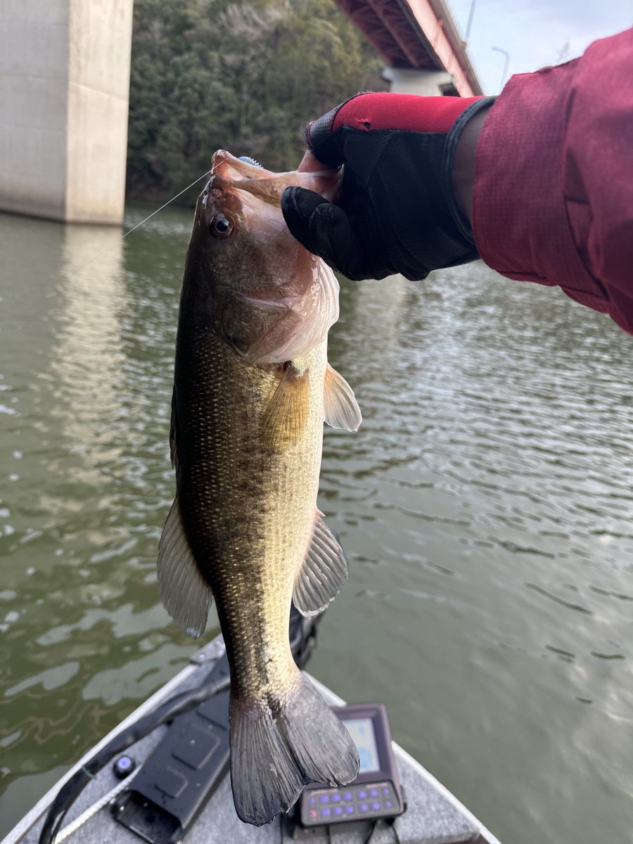 a_tnhs's tweet photo. 初バス🎣 https://t.co/tiKdmSsxCj