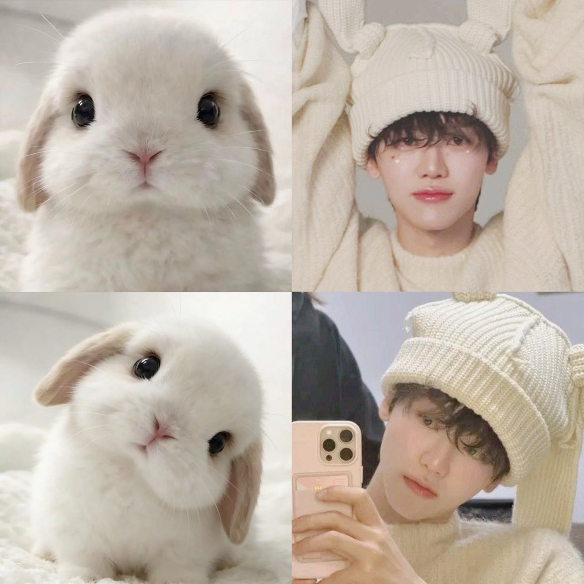 🐰🐰