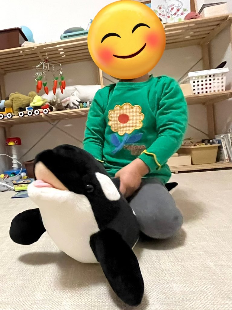 i0rin666's tweet photo. 水族館好きな息子氏と先月に引き続き、今日は神戸須磨シーワールドへ🐬

ショーより水槽巡りの方が好きな息子氏ですが、オルカとお姉さん達のパフォーマンスに大興奮🌟

帰宅後もお迎えしたオルカちゃんと真似っこ遊びしてて、寝る前のお風呂では「明日のプールで練習する！」とのこと🤣 https://t.co/9ZzWLfeh2Q