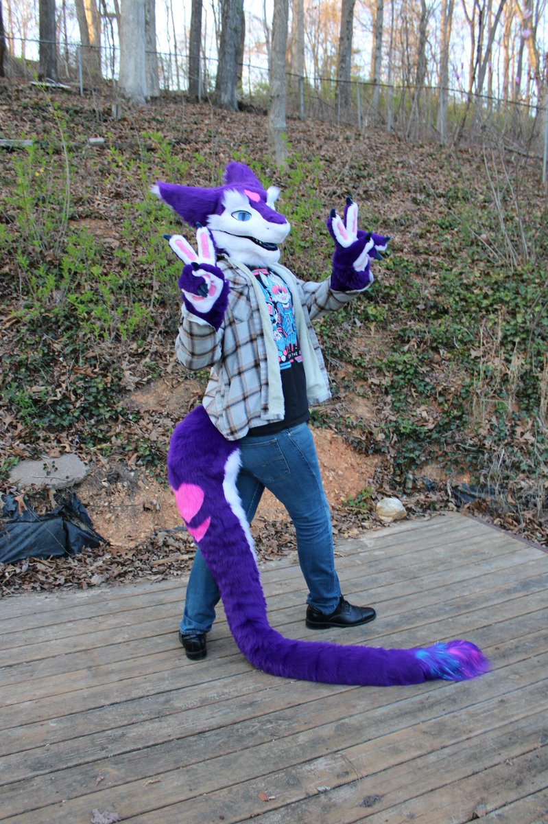 Phoenix The Sergal @ TFF tweet media