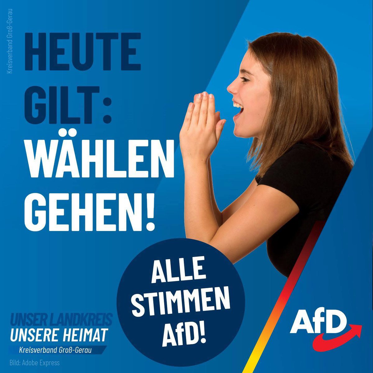 🇩🇪💙Mario Gallego Rodriguez🇩🇪💙 #Remigration tweet media