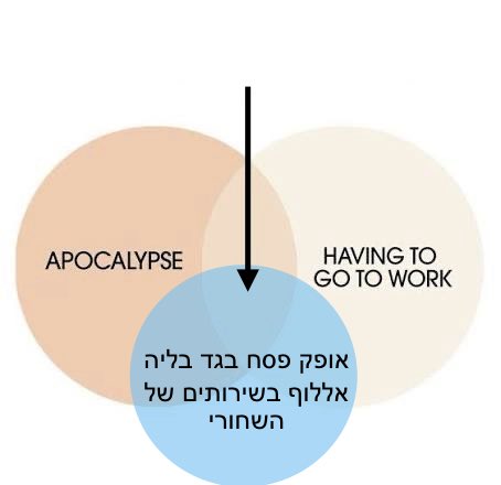 Ilay Yoeli tweet media