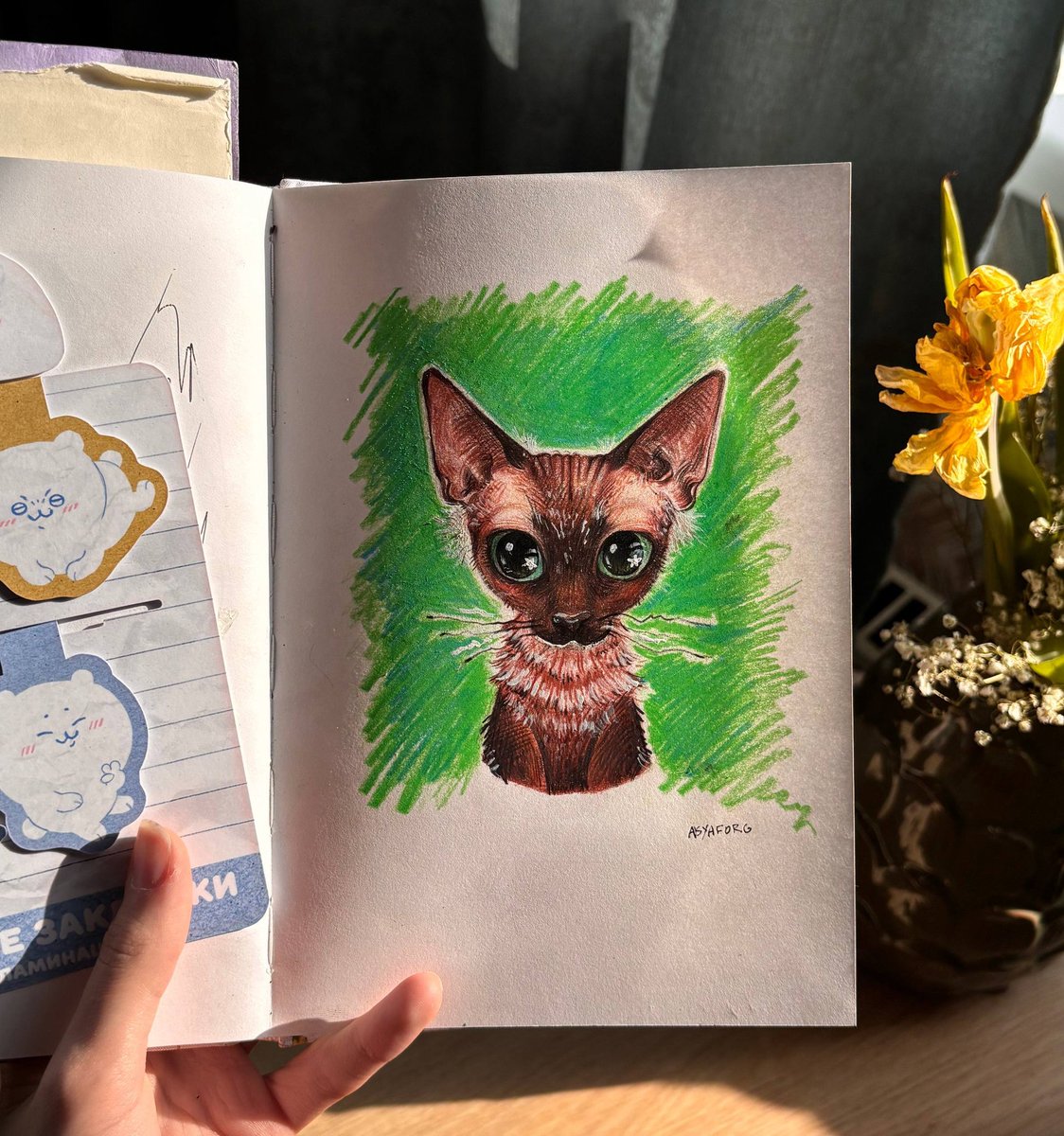 подруга нарисовала мою принцессу 😭🤲🏻💗

всем срочно в её тгк!! t.me/upyachkaforg