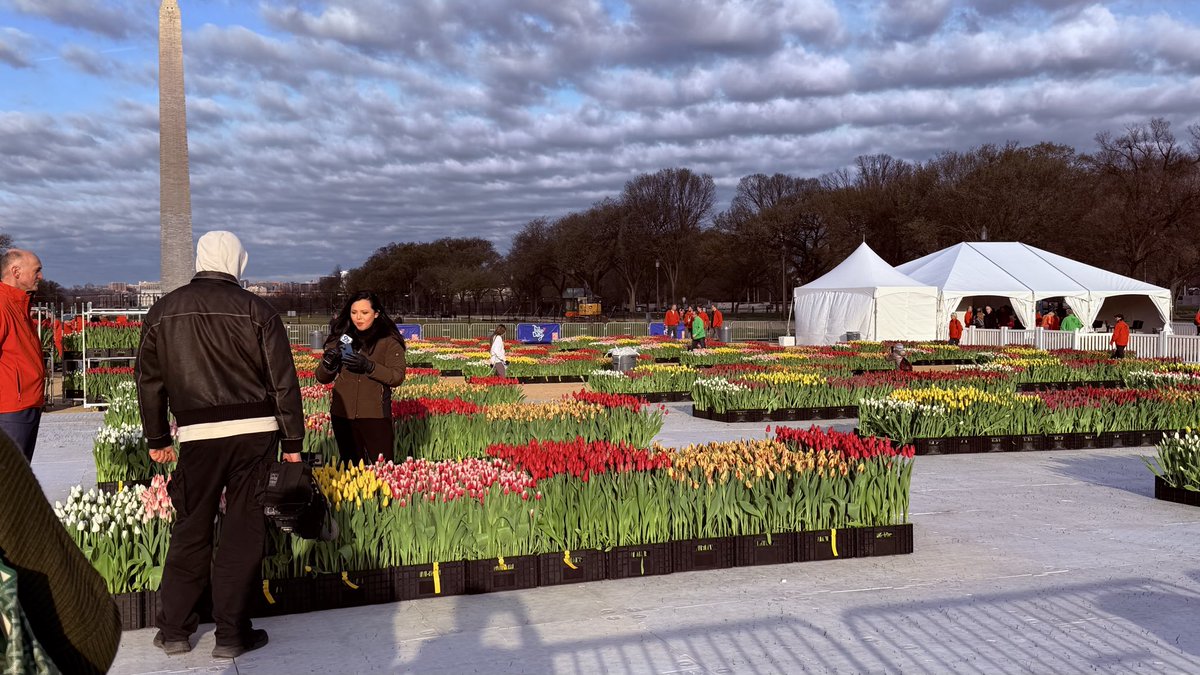 Matthew Henry tweet media