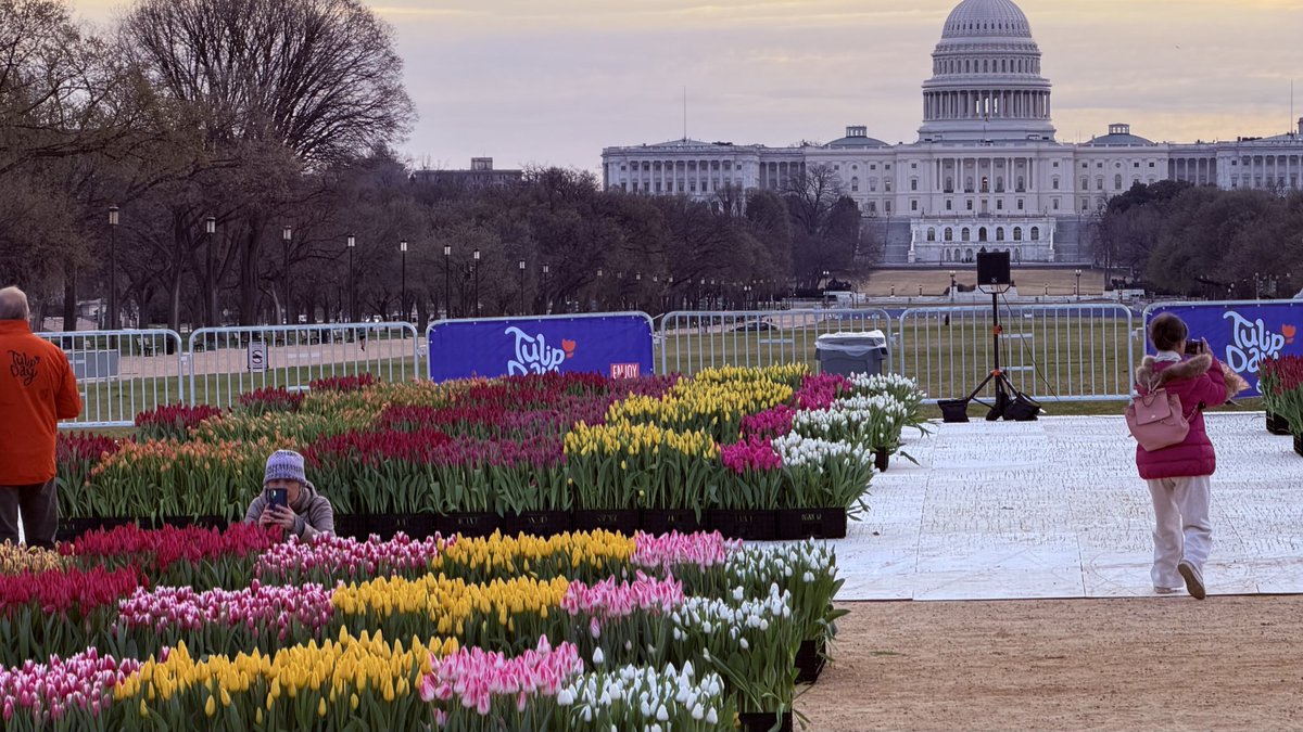 Matthew Henry tweet media