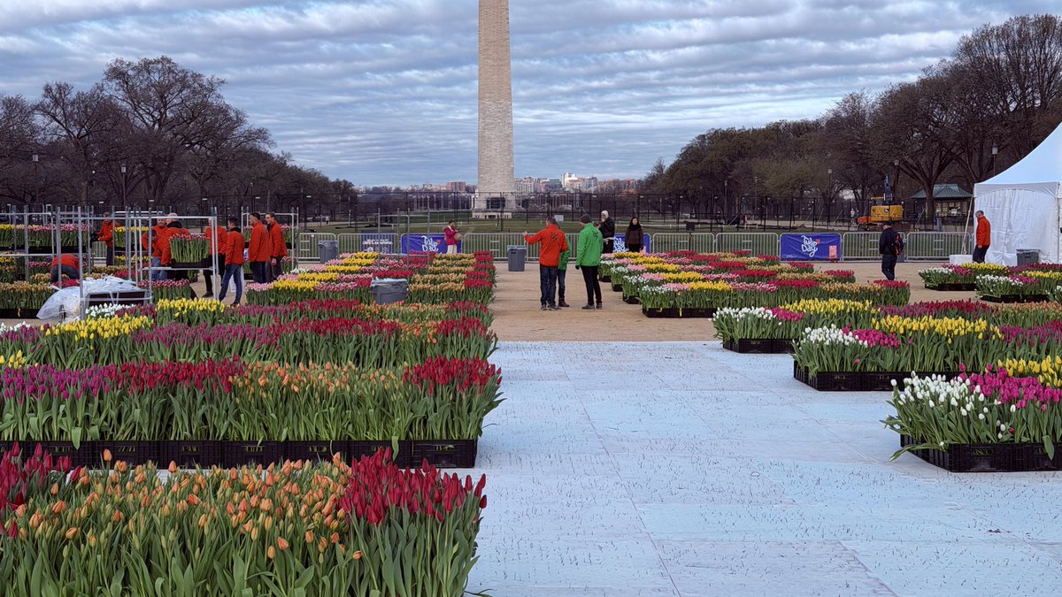 Matthew Henry tweet media