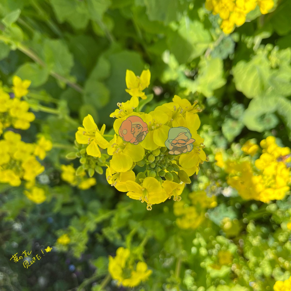 siro︎︎ tweet media