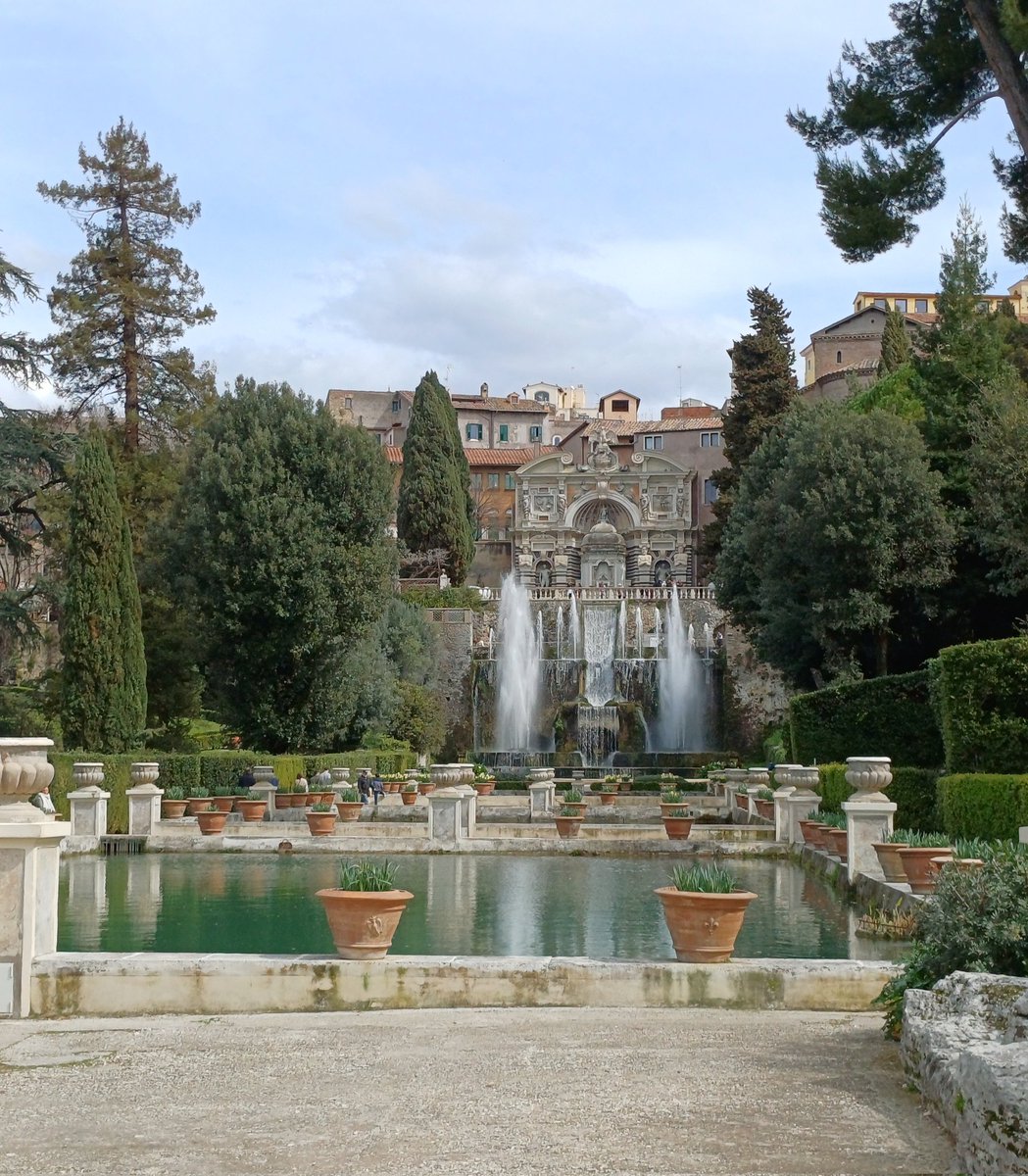 Carob Mill tweet media