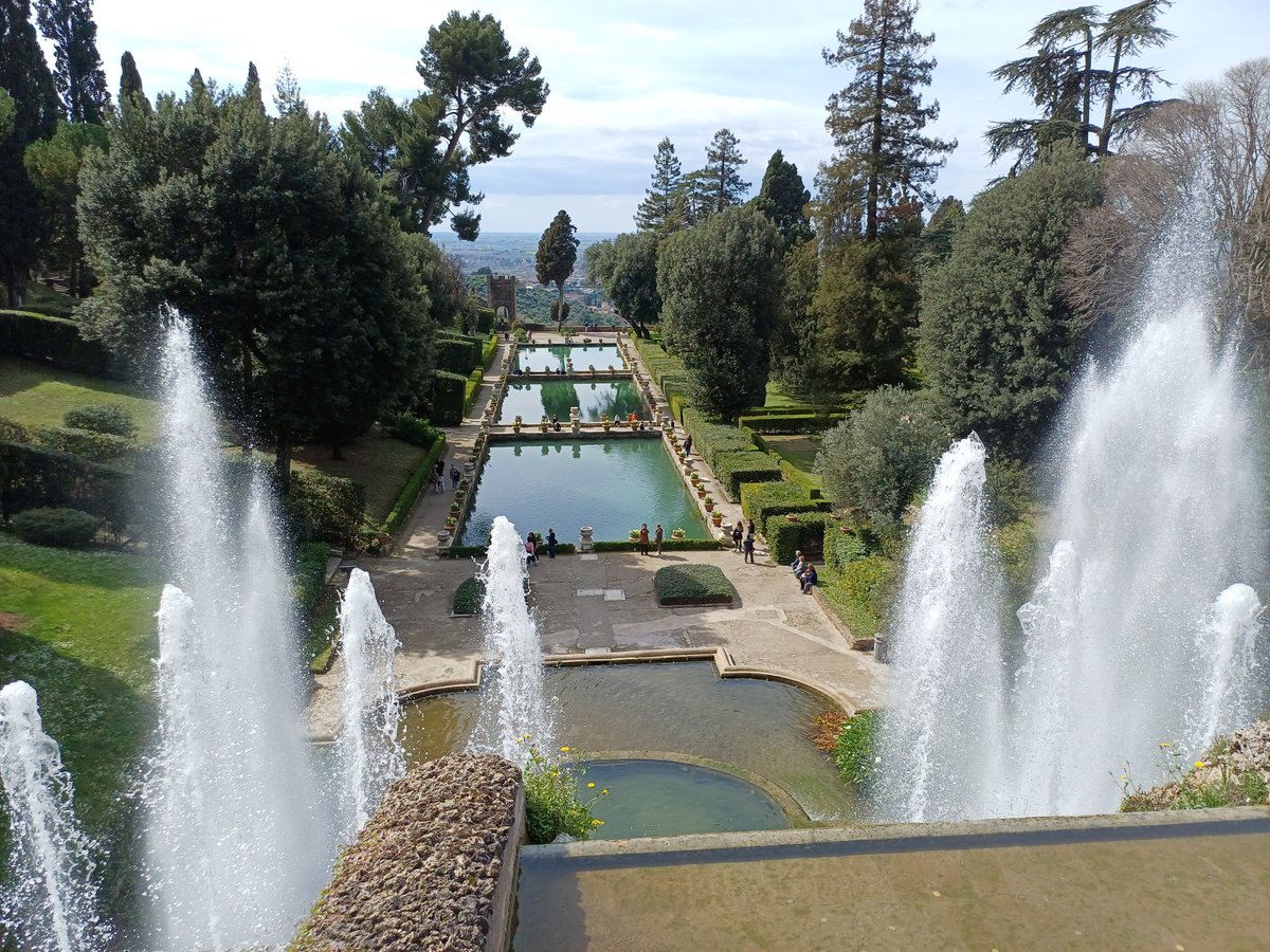 Carob Mill tweet media