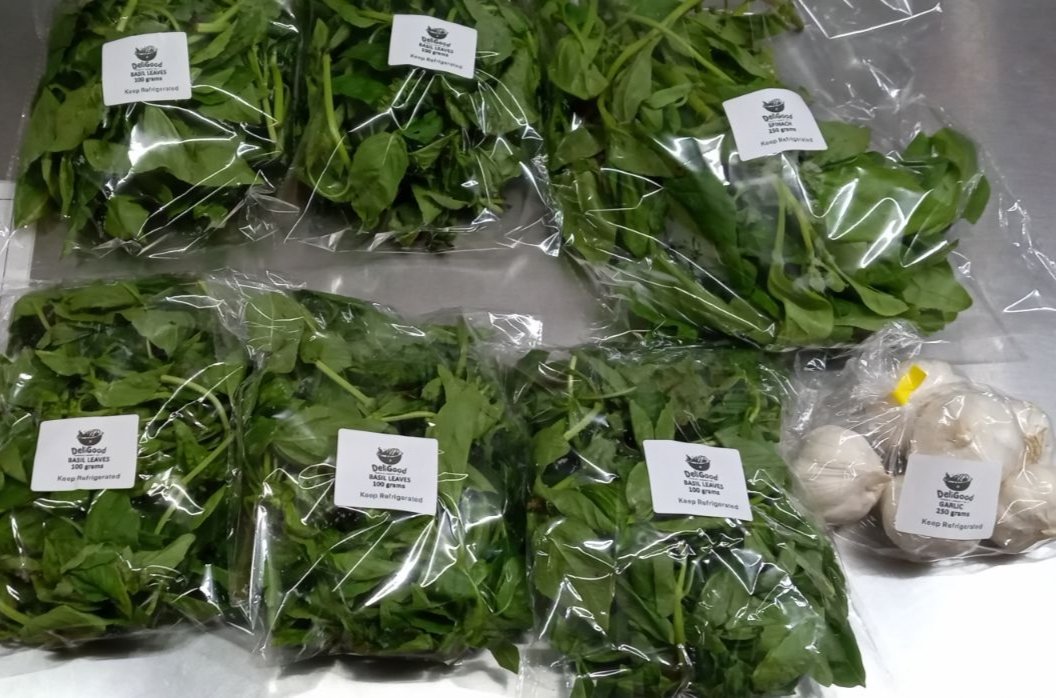 Bacon Elemental 🥓🧍 VTuber tweet media