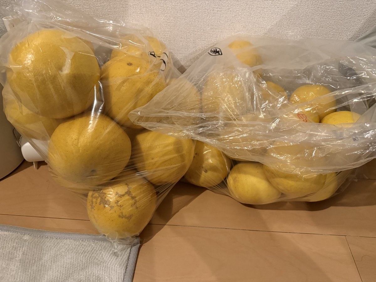 MSK(マスク)🕰🎩 tweet media