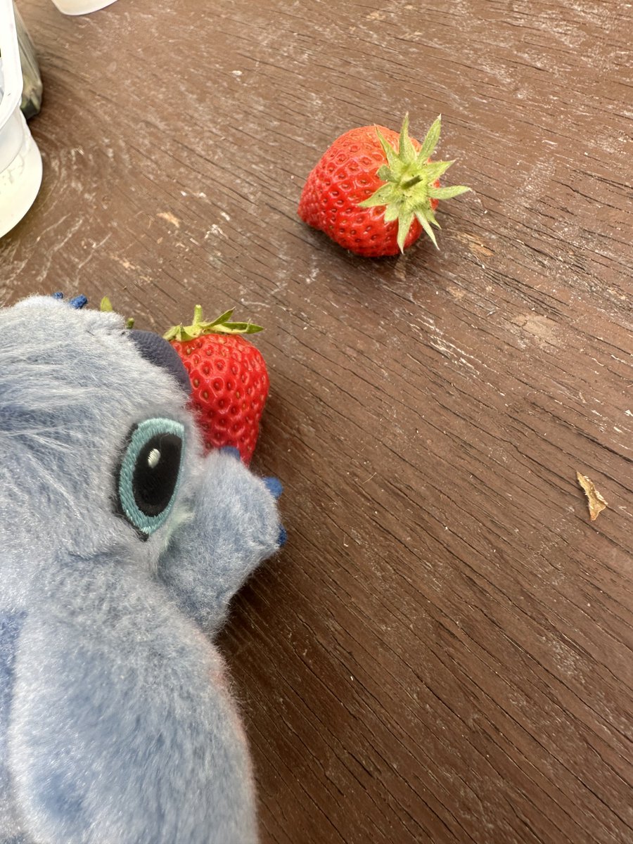Lu_cbr07's tweet photo. おひさノートで群馬卒業旅行〜！！！！！ https://t.co/aZqAPGKGfo