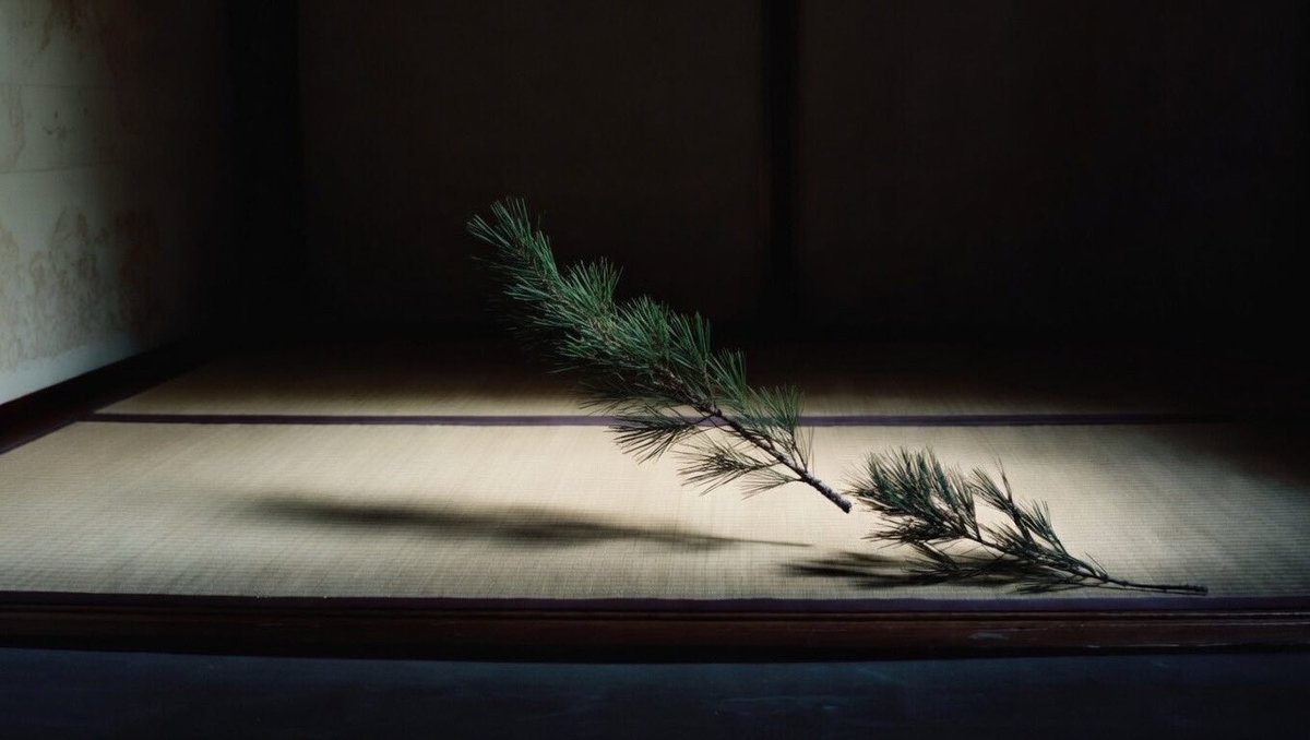 Cassiasstorm's tweet photo. Tokonoma — Late Autumn Pine Needle
One needle fallen, resting in the alcove—
time enough to notice.
📸 🍂 🌑
#CassiasStorm #QuietObserver #Shibui #Ma #WabiSabi https://t.co/HBLyvDmyRt