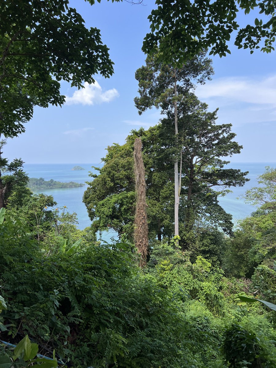 Alex MacGregor tweet media