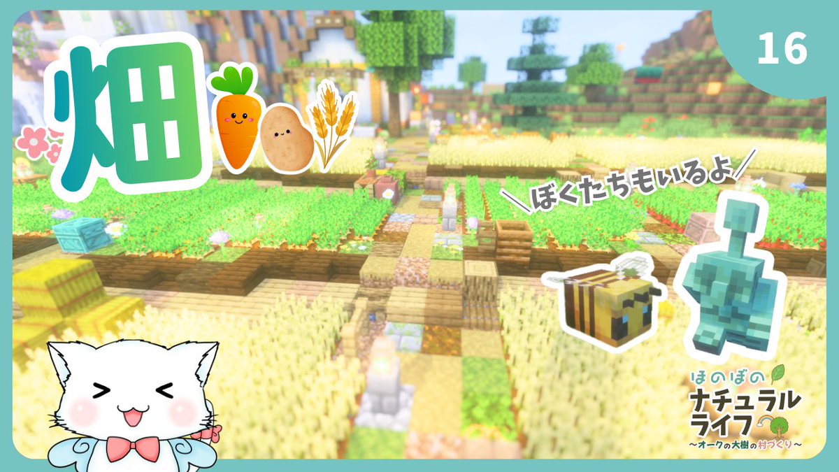 hinachanacraft's tweet photo. ＼新しい動画できました！／
農業エリアのメイン・大きな畑ができました！🥕🥔

ひたすらにのんびりほのぼのしている動画です＊
休日や平日のおともにどうぞ☕🌿

#minecraft #マイクラ #農業 https://t.co/iejBKsSce6