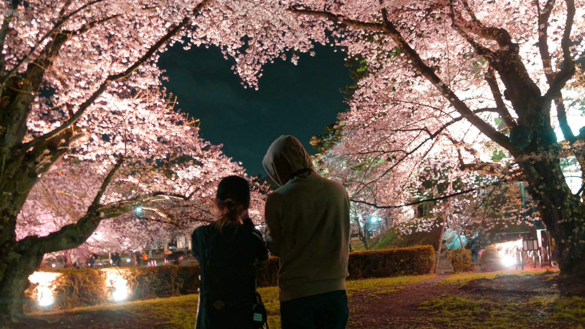 aomorikinoko's tweet photo. 弘前
お勧めスポット
ハ－ト桜 https://t.co/XZP32Kl9g3