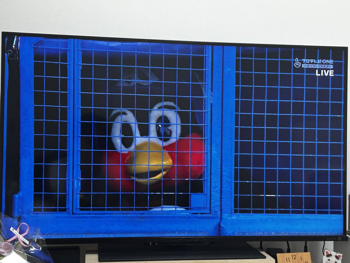 きた！！！！！！おかえり！！！！！！！

 #つば九郎
