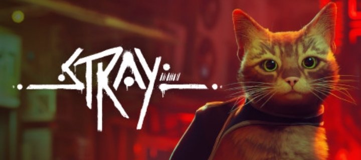 TypicallyT tweet media