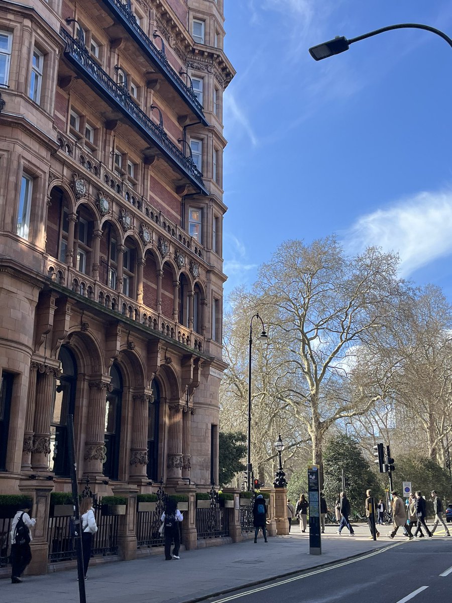 s ♡₊˚🦢・₊✧ tweet media